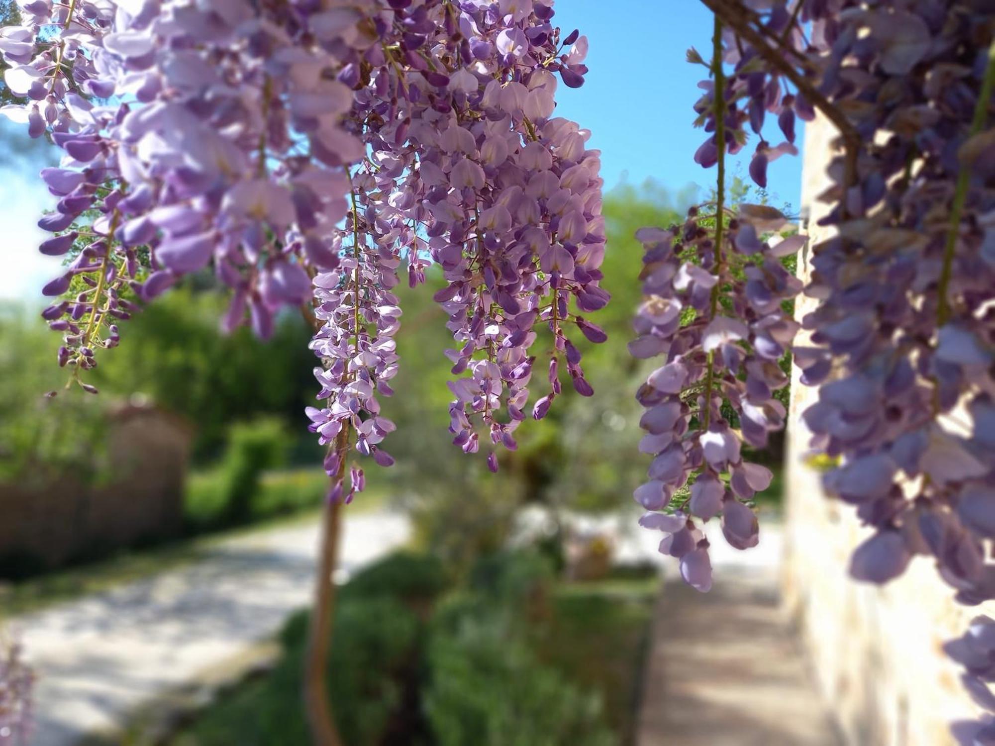 Il Casale Di Aurora Country House Colmurano Екстер'єр фото