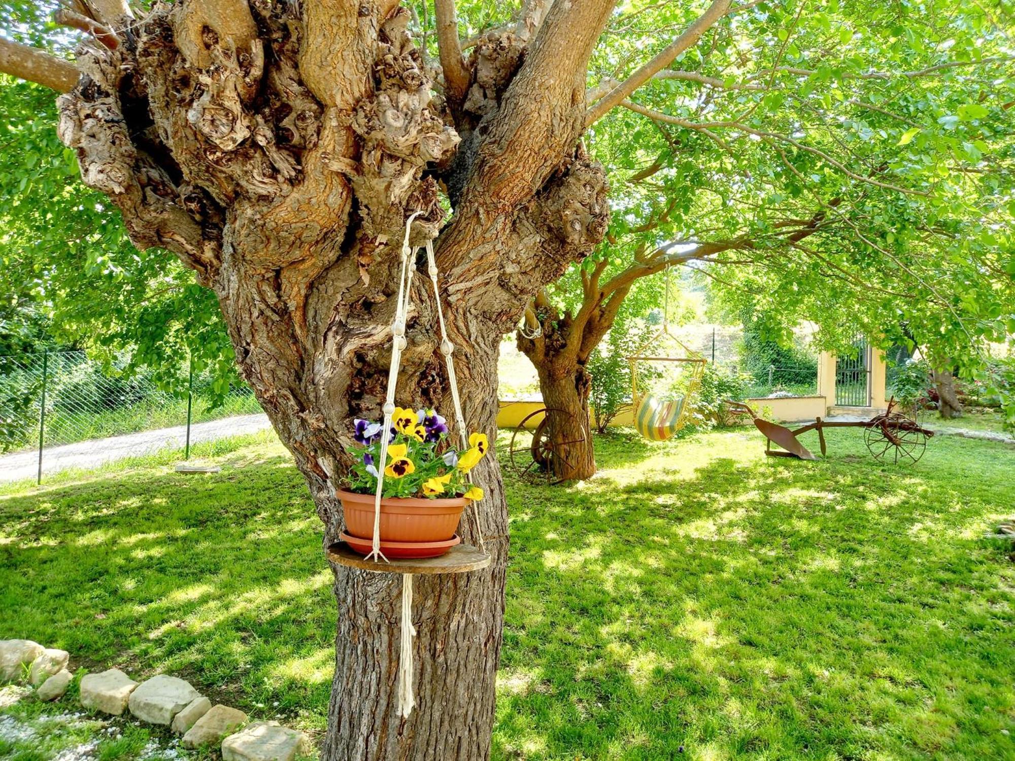 Il Casale Di Aurora Country House Colmurano Екстер'єр фото