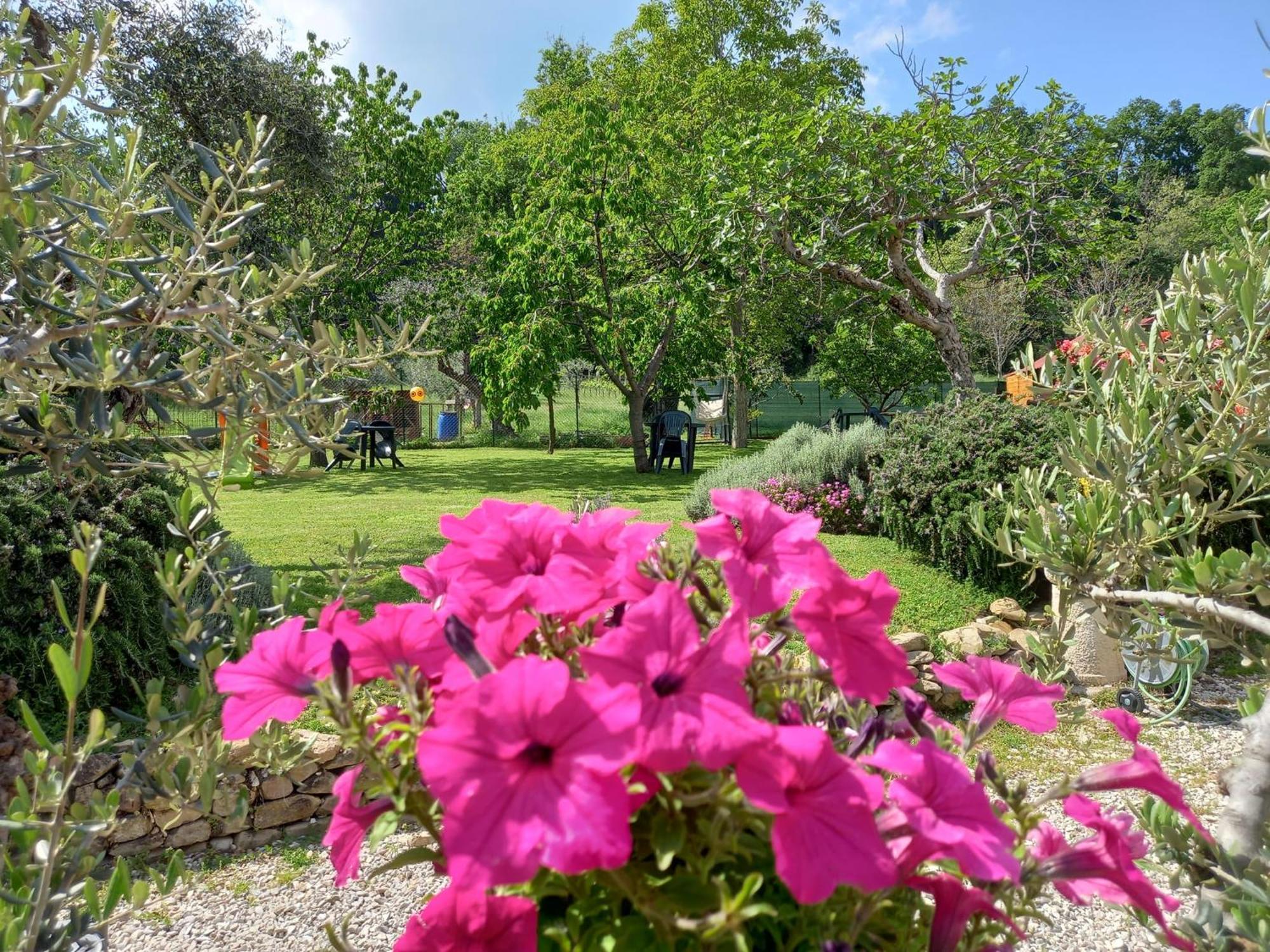 Il Casale Di Aurora Country House Colmurano Екстер'єр фото