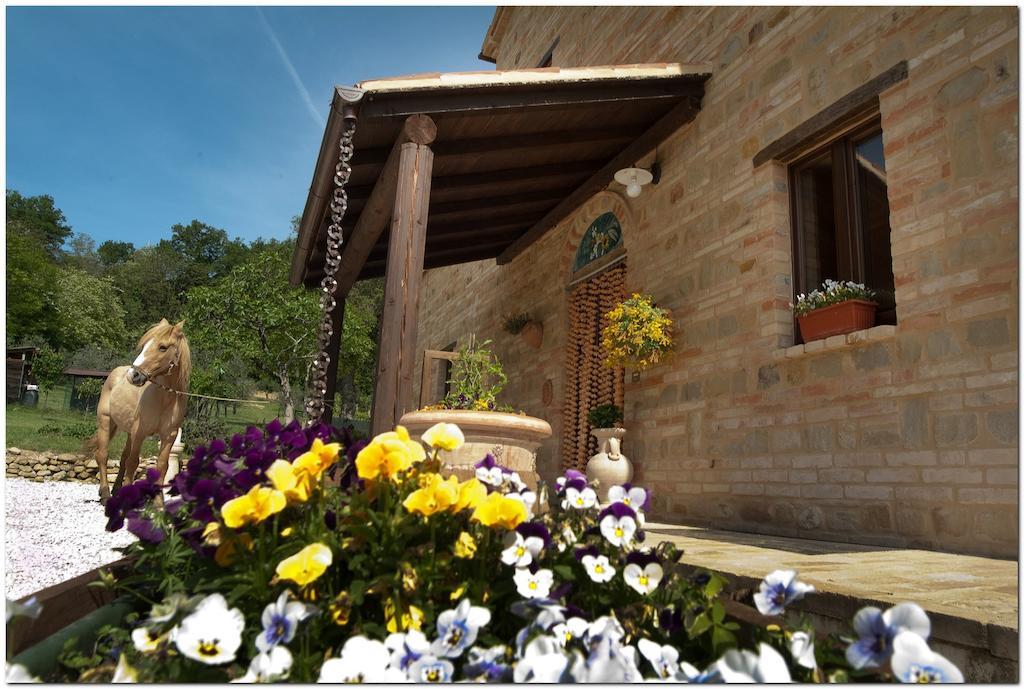 Il Casale Di Aurora Country House Colmurano Екстер'єр фото