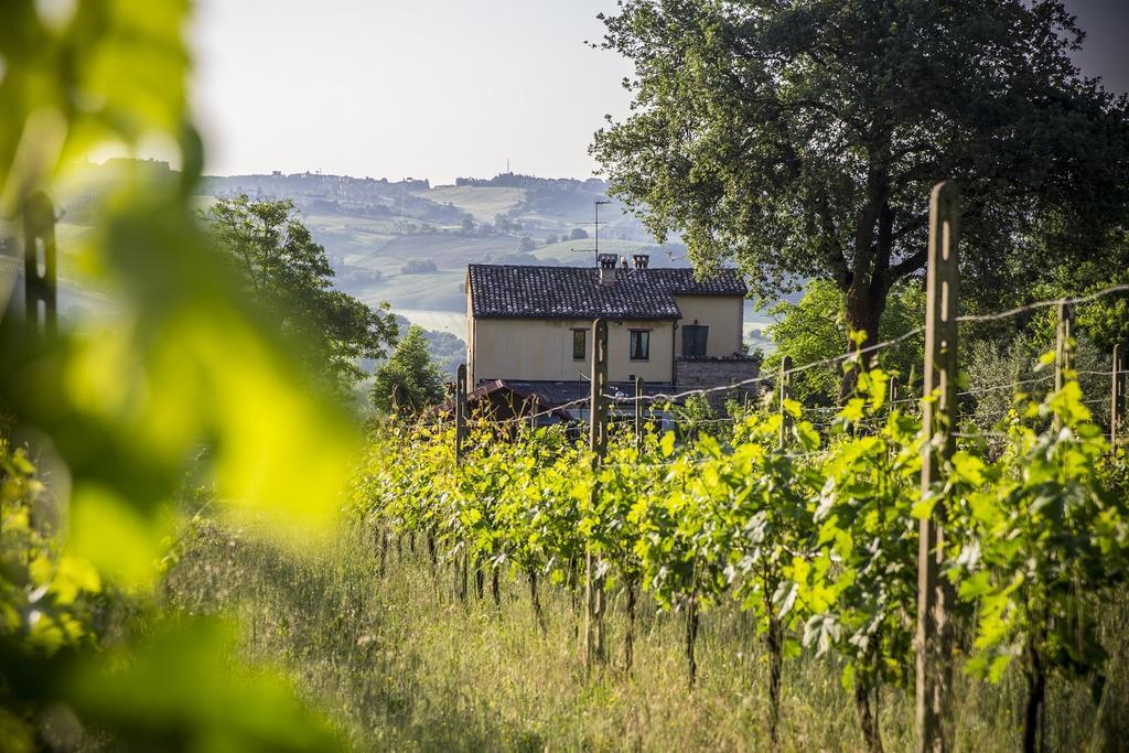 Il Casale Di Aurora Country House Colmurano Екстер'єр фото
