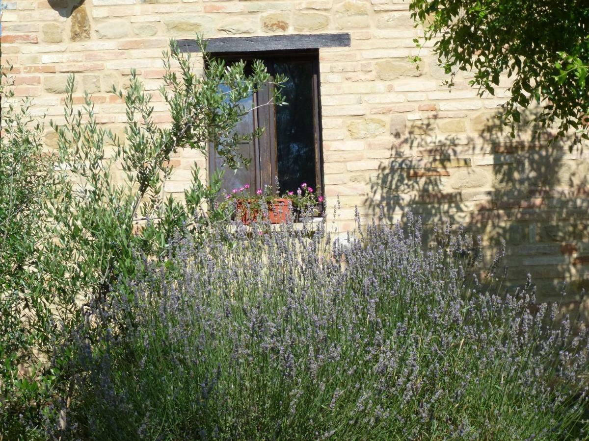 Il Casale Di Aurora Country House Colmurano Екстер'єр фото