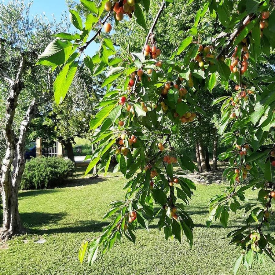 Il Casale Di Aurora Country House Colmurano Екстер'єр фото